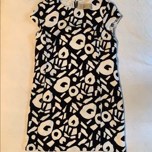 NWT LOFT shift dress - Sz 10p